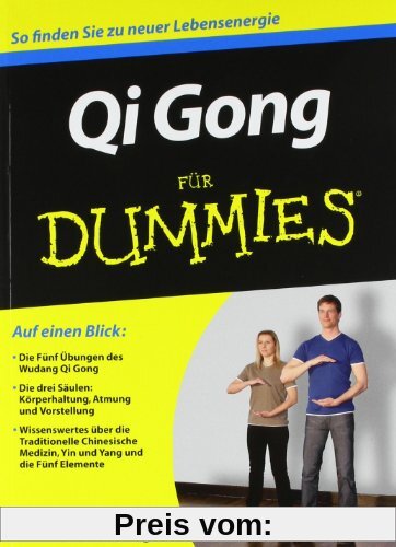Qi Gong für Dummies (Fur Dummies)