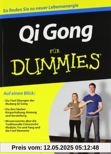 Qi Gong für Dummies (Fur Dummies)