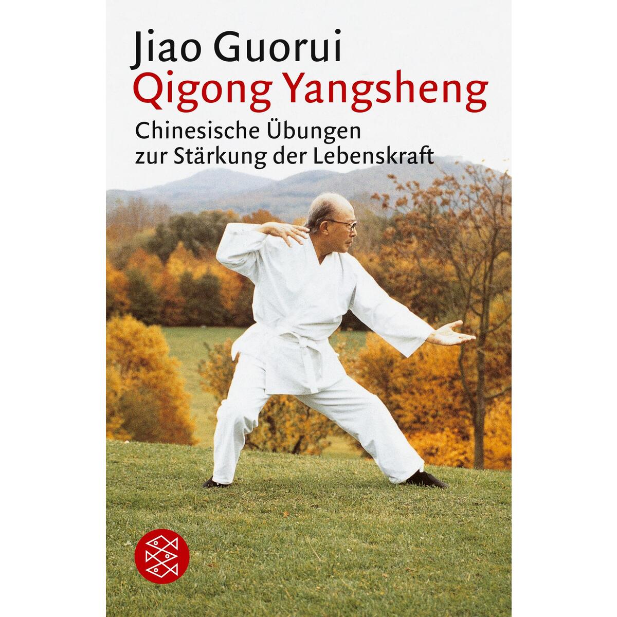 Qigong Yangsheng Qigong Yangsheng von S. Fischer Verlag