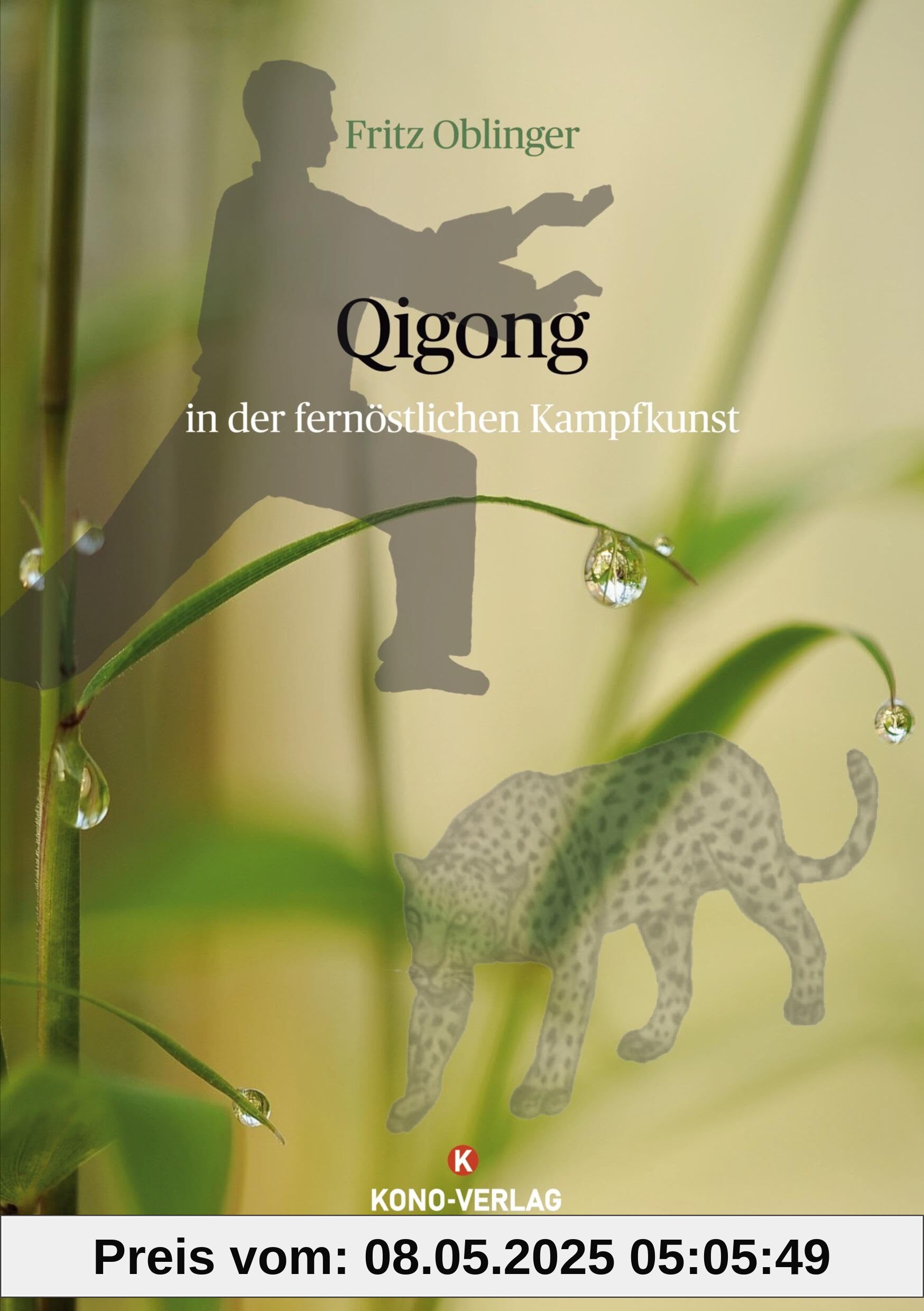 Qigong in der fernöstlichen Kampfkunst