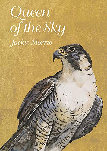 Queen of the Sky: 1
