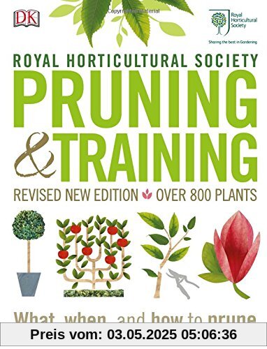 RHS Pruning & Training: What, When, and How to Prune RHS Pruning & Training: What, When, and How to Prune