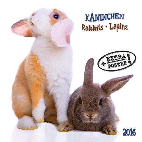 Rabbits/Kaninchen 2024: Kalender 2024 (Artwork Edition) von Tushita PaperArt