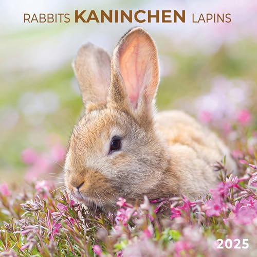 Rabbits/Kaninchen 2025: Kalender 2025 (Artwork Edition)
