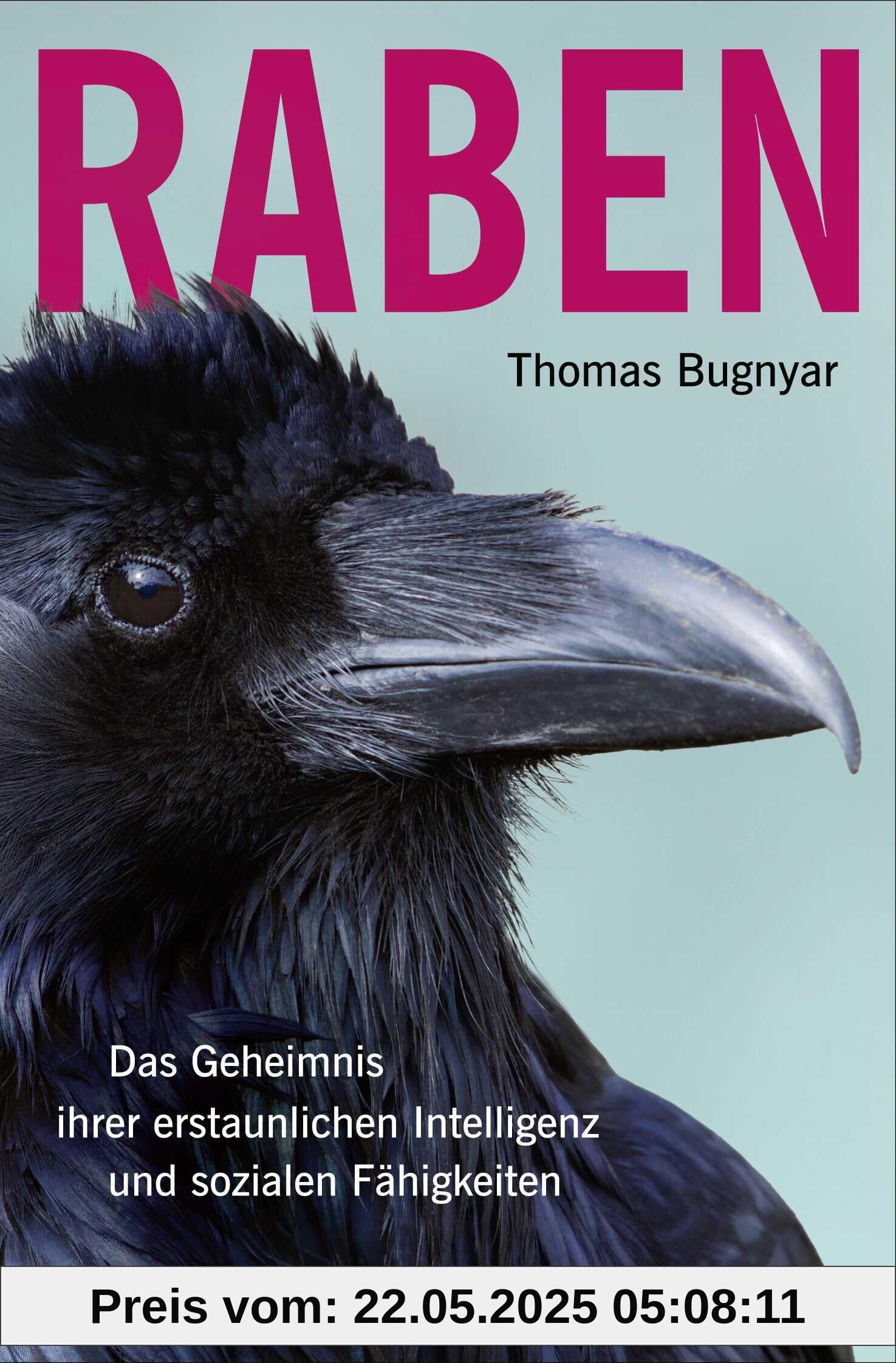 Raben: Das Geheimnis ihrer erstaunlichen Intelligenz und sozialen Fähigkeiten Raben: Das Geheimnis ihrer erstaunlichen Intelligenz und sozialen Fähigkeiten