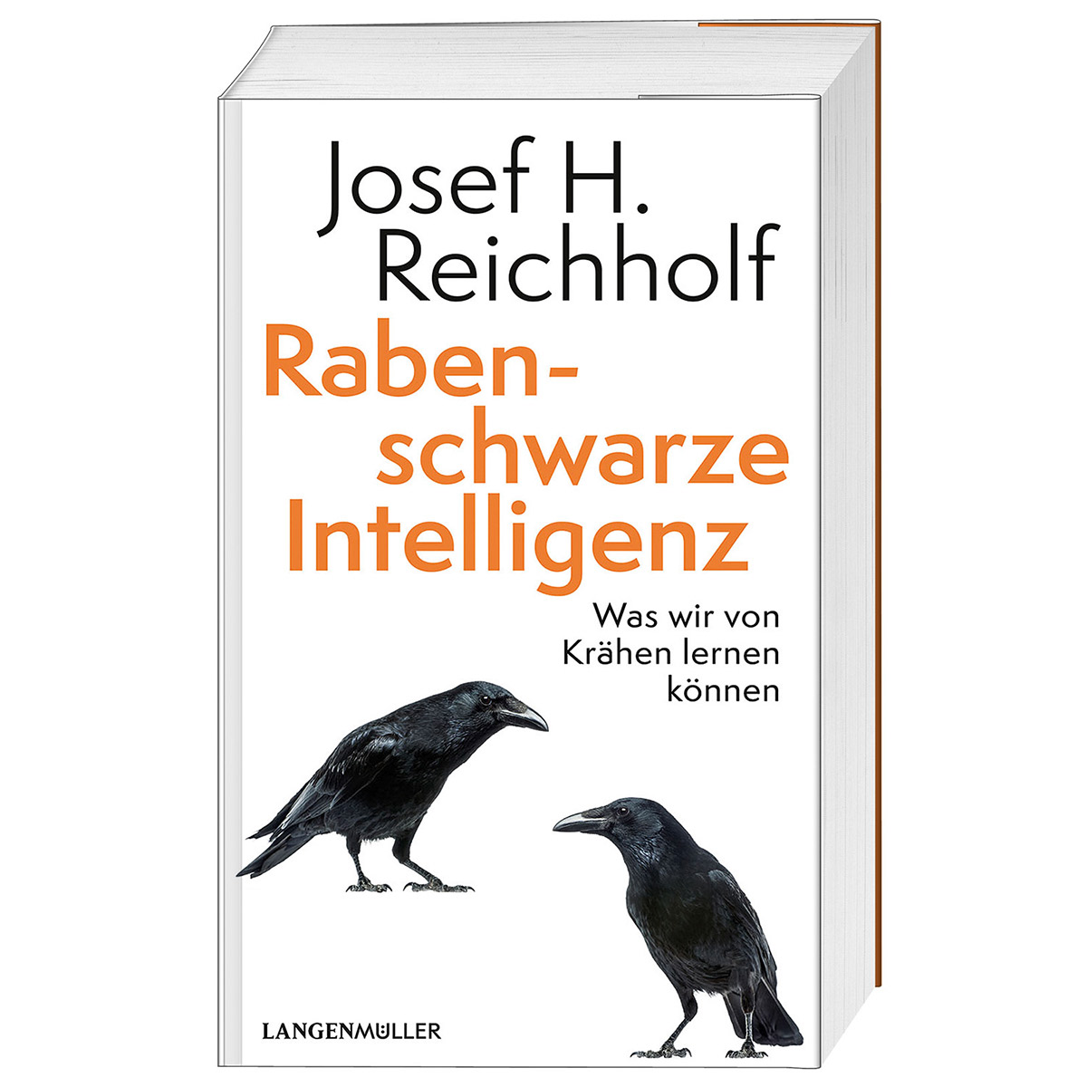 Rabenschwarze Intelligenz von Langen - Mueller Verlag