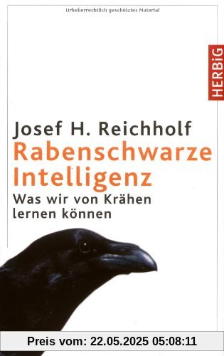 Rabenschwarze Intelligenz: Was wir von Krähen lernen können