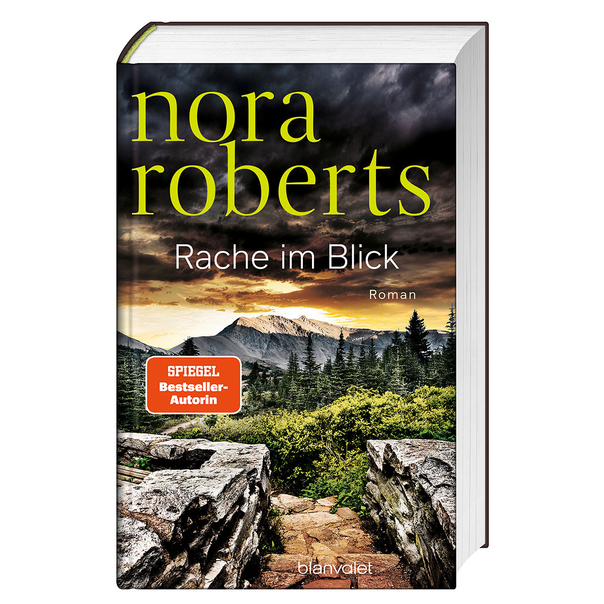 Rache im Blick von Blanvalet Verlag