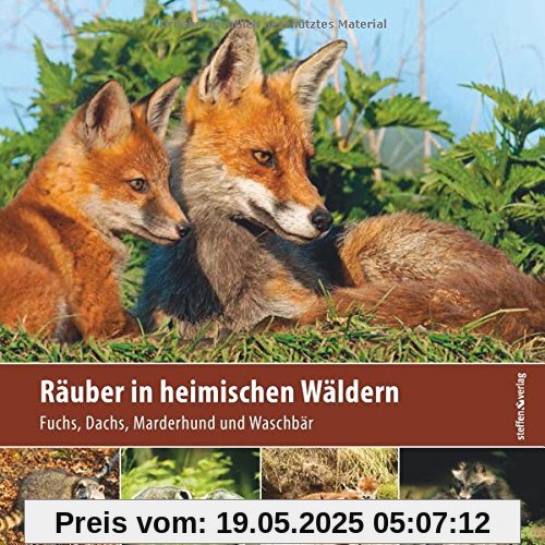 Räuber in heimischen Wäldern: Fuchs, Dachs, Marderhund und Waschbär