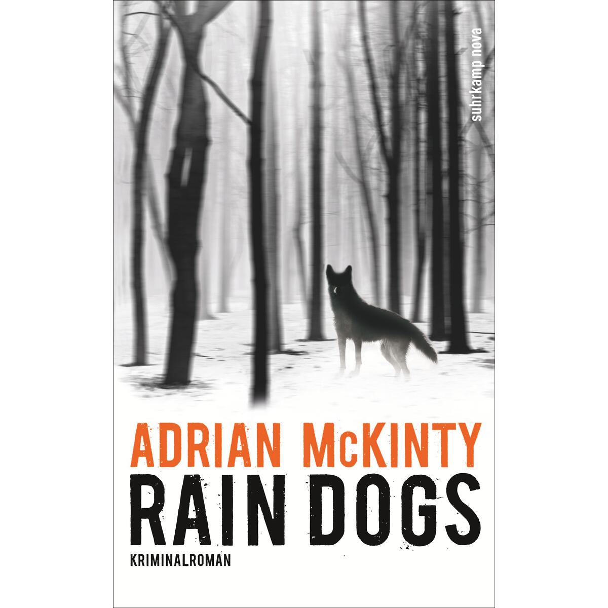Rain Dogs Rain Dogs von Suhrkamp Verlag AG