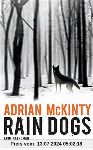 Rain Dogs: Kriminalroman (Sean-Duffy-Serie)