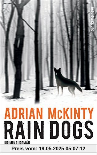 Rain Dogs: Kriminalroman (Sean-Duffy-Serie)