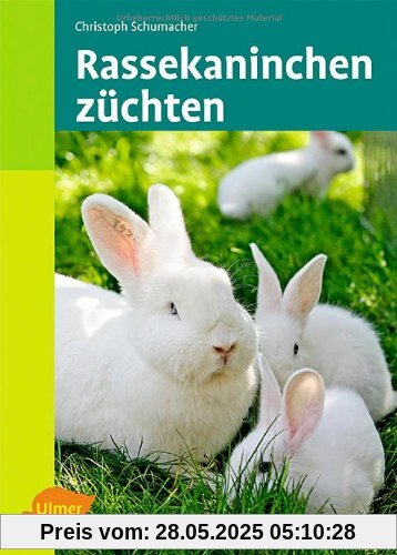 Rassekaninchen züchten