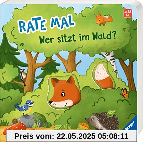 Rate mal: Wer sitzt im Wald?