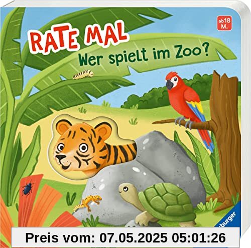 Rate mal: Wer spielt im Zoo?