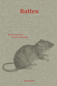 Ratten von Matthes & Seitz Berlin
