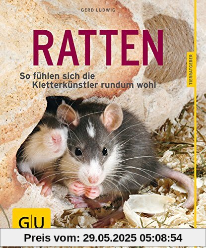 Ratten: So fühlen sich die Kletterkünstler rundum wohl (GU Tierratgeber)