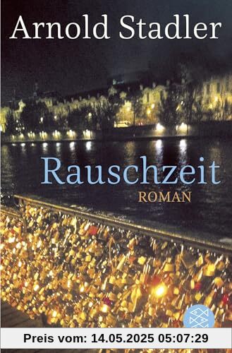 Rauschzeit: Roman