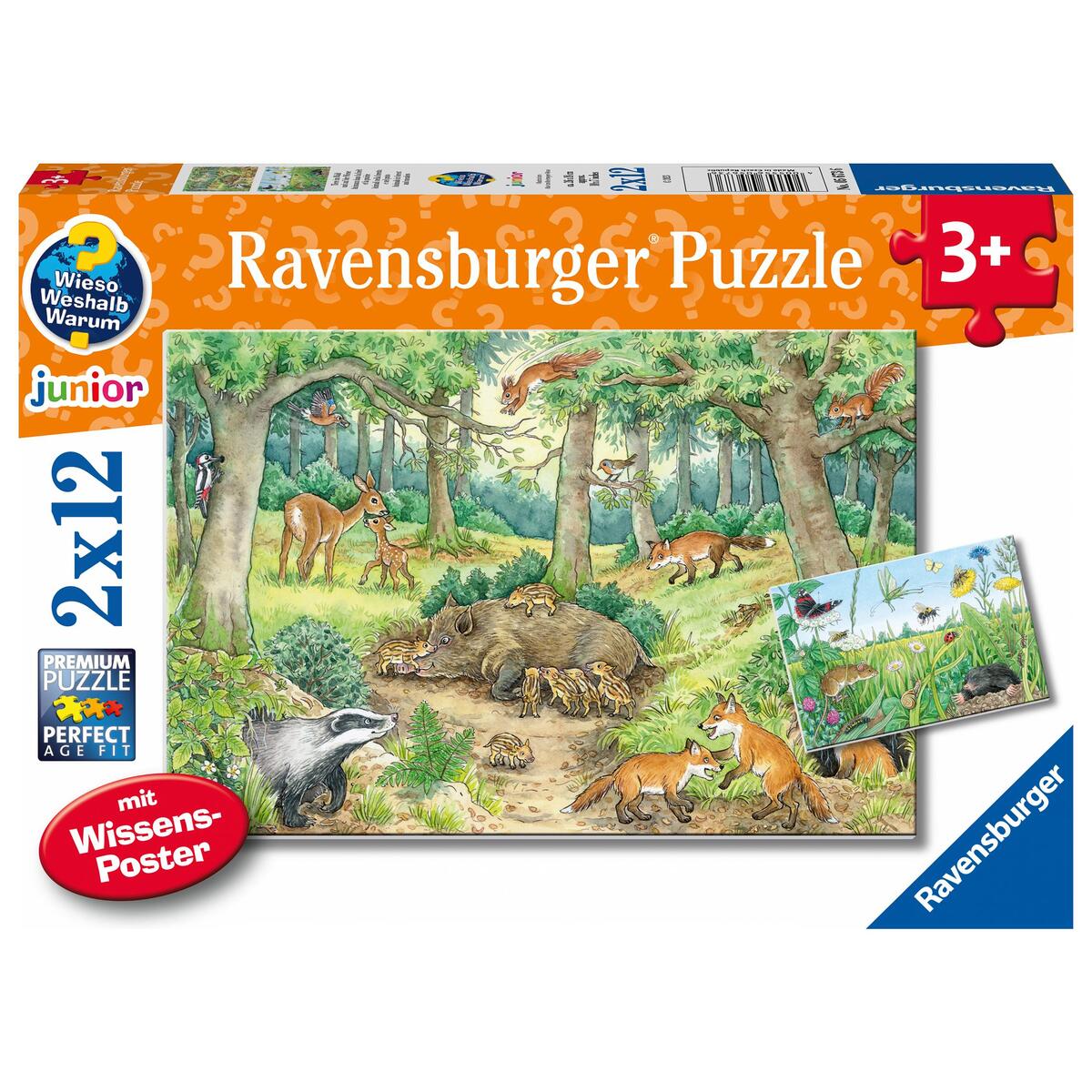Ravensburger Kinderpuzzle - 05673 Tiere im Wald und auf der Wiese - 2x12 Teile +... Ravensburger Kinderpuzzle - 05673 Tiere im Wald und auf der Wiese - 2x12 Teile +... von Ravensburger Spieleverlag