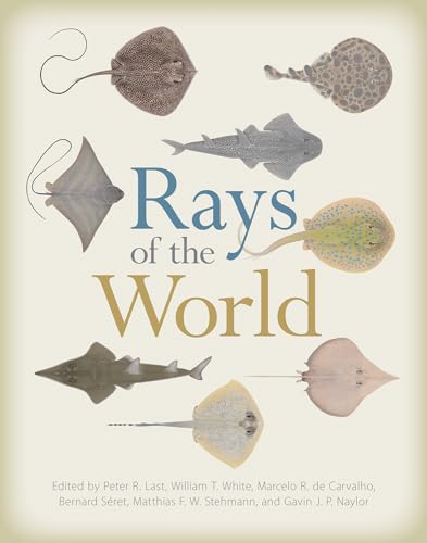 Rays of the World von Comstock Publishing