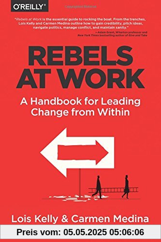 Rebels at Work: A Handbook for Leading Change from Within