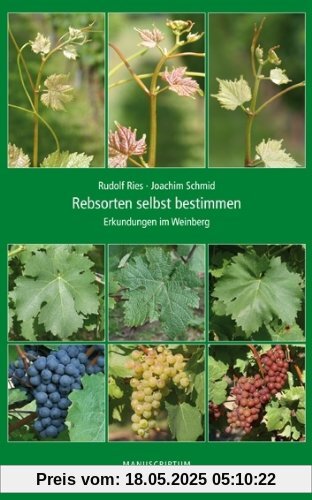 Rebsorten selbst bestimmen