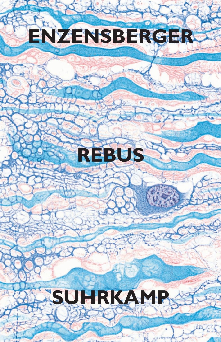 Rebus Rebus von Suhrkamp Verlag
