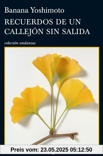 Recuerdos de un callejón sin salida (Andanzas, Band 762)