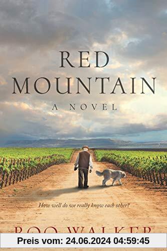 Red Mountain: A Novel (Red Mountain Chronicles, Band 1)