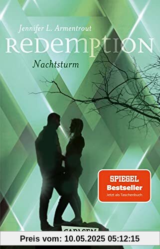 Redemption. Nachtsturm (Revenge 3)