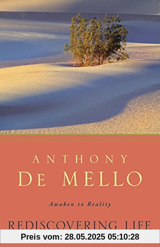 Rediscovering Life: Awaken to Reality