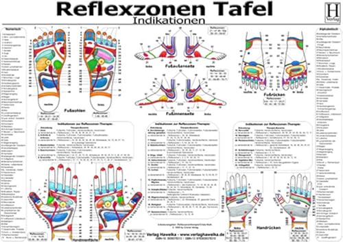 Reflexzonen Tafel - Indikationen - A3 (laminiert) von Hawelka, Verlag