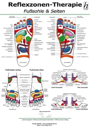 Reflexzonen-Therapie Mini-Poster - Fußsohle & Seiten DIN A4 von Hawelka Verlag
