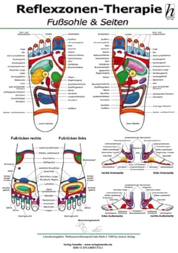 Reflexzonen-Therapie Mini-Poster - Fußsohle & Seiten DIN A4 von Hawelka, Verlag