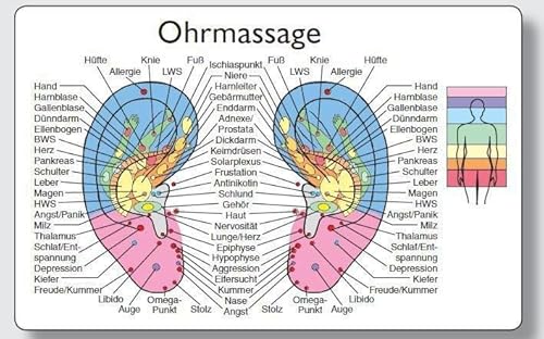 Reflexzonenmassagekarte "Ohr": Verpackungseinheit enthält 25 Karten