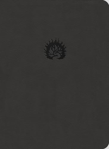 Reformation Study Bible-ESV von Ligonier Ministries