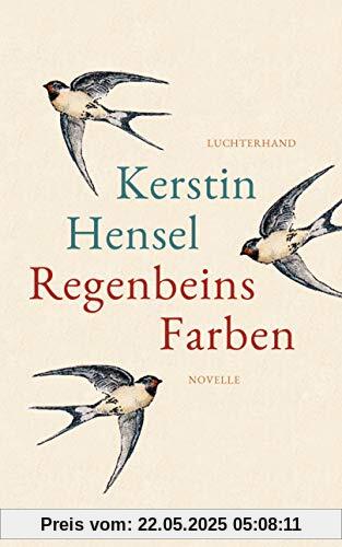 Regenbeins Farben: Novelle