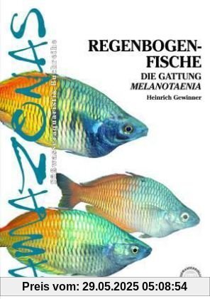 Regenbogenfische: Die Gattung Melanotaenia Regenbogenfische: Die Gattung Melanotaenia