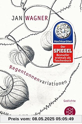 Regentonnenvariationen: Gedichte (Hochkaräter)