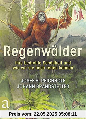 Regenwälder: Ihre bedrohte Schönheit und wie wir sie noch retten können