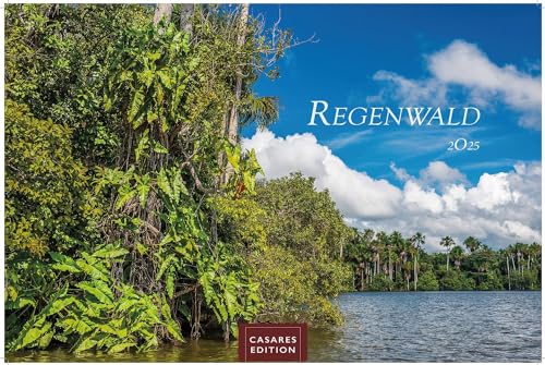 Regenwald 2025 L 35x50cm
