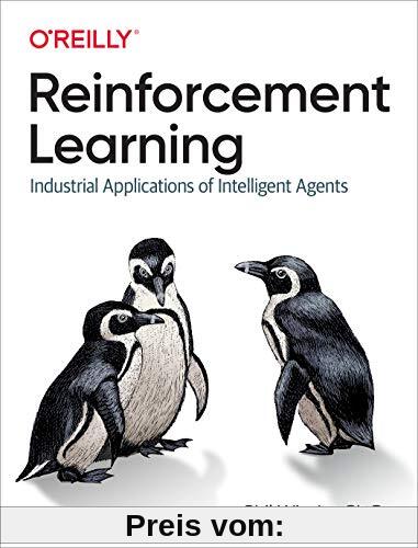 Reinforcement Learning: Industrial Applications of Intelligent Agents