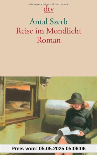 Reise im Mondlicht: Roman