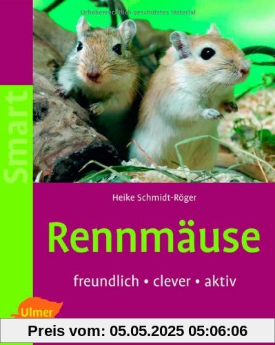 Rennmäuse: Freundlich - clever - aktiv