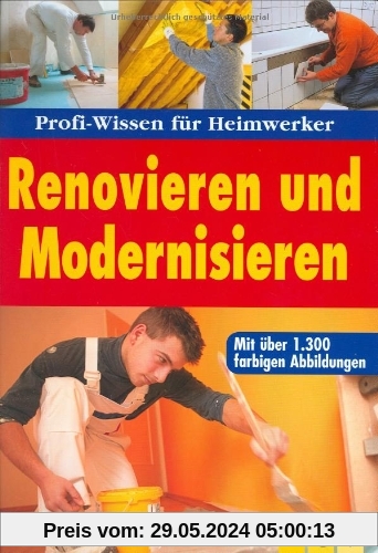Renovieren und Modernisieren: Profi-Wissen für Heimwerker