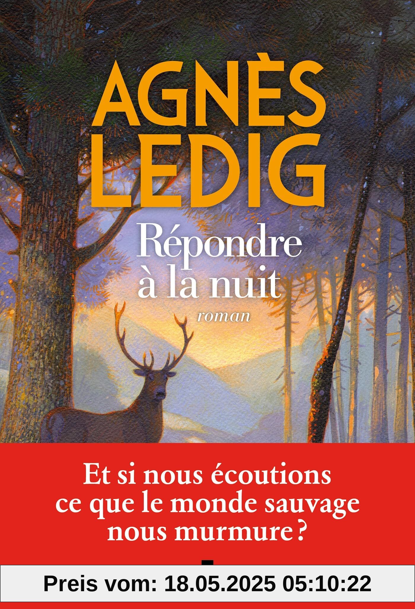 Répondre à la nuit répondre à la nuit: Roman