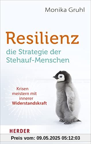 Resilienz – die Strategie der Stehauf-Menschen: Krisen meistern mit innerer Widerstandskraft
