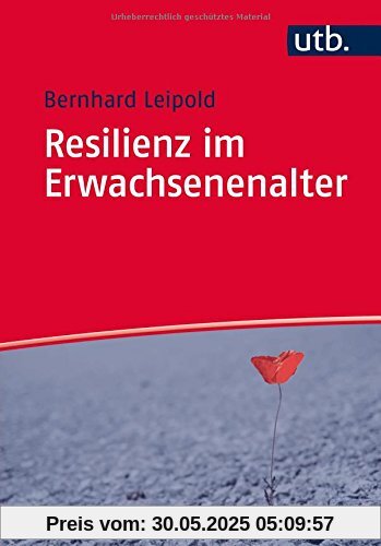 Resilienz im Erwachsenenalter Resilienz im Erwachsenenalter