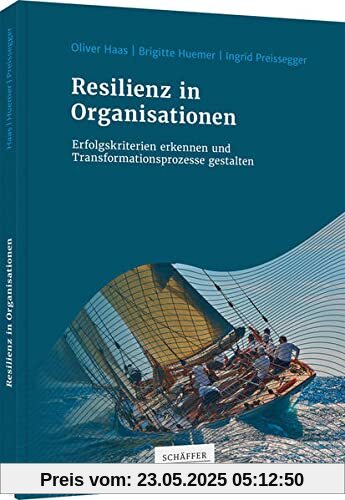 Resilienz in Organisationen: Erfolgskriterien erkennen und Transformationsprozesse gestalten