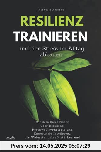 Resilienz trainieren und den Stress im Alltag abbauen: Mit dem Basiswissen über Resilienz, Positive Psychologie und Emotionale Intelligenz die Widerstandskraft stärken und Burnout vorbeugen.